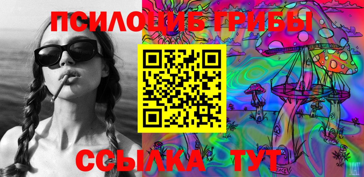 Галлюциногенные грибы GOLDEN TEACHER Чапаевск