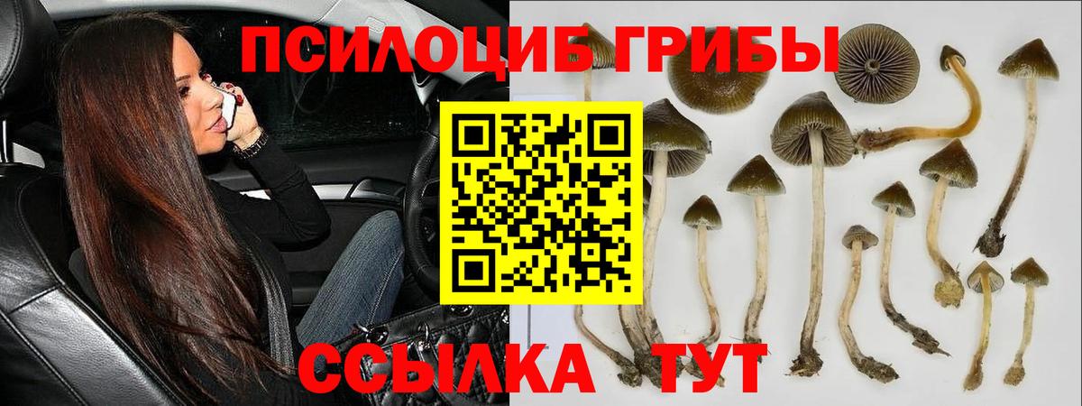 Галлюциногенные грибы Psilocybe  где купить наркоту  Чапаевск  Псилоцибиновые грибы Cubensis  Вход с VPN 